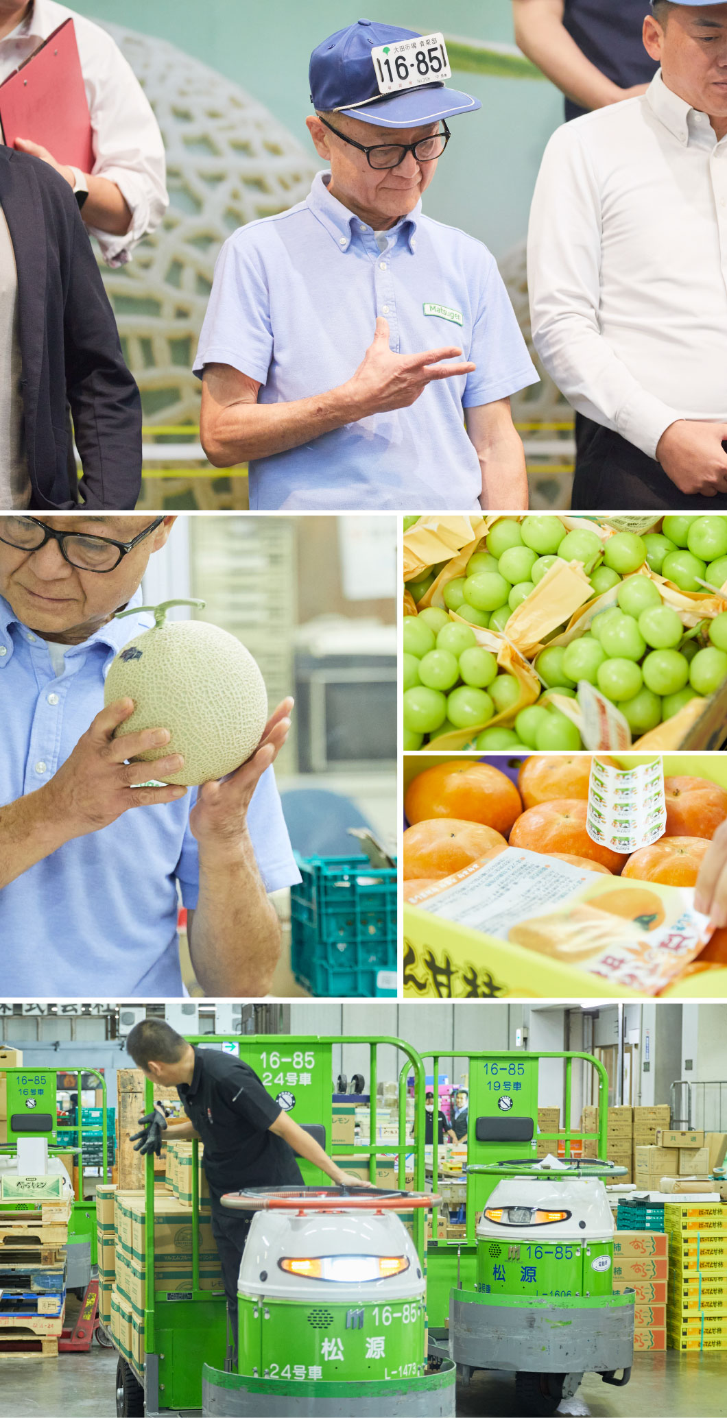 国産果実部の写真