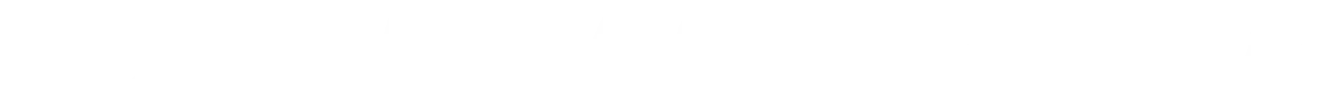 COMPANY OVERVIEW